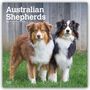 Browntrout Publishers: Australian Shepherds 2027 - 16-Monatskalender, KAL