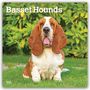 Browntrout Publishers: Basset Hounds 2027 - 16-Monatskalender, KAL