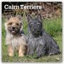 Browntrout Publishers: Cairn Terriers 2027 - 16-Monatskalender, KAL