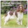 „English Springer Spaniels 2027 16-Month Calendar“; Hund auf Wiese mit lila Blumen im Hintergrund.