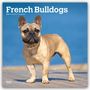 Browntrout Publishers: French Bulldogs - Französische Bulldogge 2027 - 16-Monatskalender, KAL