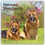 „German Shepherds 2027 16-Month Calendar“. Zwei Deutsche Schäferhunde sitzen auf einer Wiese, im Hintergrund blühende Bäume.