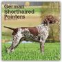 Browntrout Publishers: German Shorthaired Pointers - Deutsch Kurzhaar 2027 - 16-Monatskalender, KAL