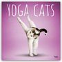 Browntrout Publishers: Yoga Cats - Katzen Yoga 2027 - 16-Monatskalender, KAL