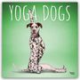 Browntrout Publishers: Yoga Dogs - Hunde Yoga 2027 - 16-Monatskalender, KAL