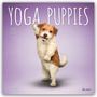 Browntrout Publishers: Yoga Puppies - Welpen Yoga 2027 - 16-Monatskalender, KAL