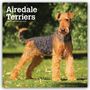 Browntrout Publishers: Airedale Terrier 2027 - 16-Monatskalender, KAL