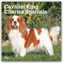 Browntrout Publishers: Cavalier King Charles Spaniels 2027 - 16-Monatskalender, KAL