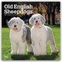 Browntrout Publishers: Old English Sheepdog - Bobtail - Altenglischer Schäferhund 2027 - 16-Monatskalender, KAL