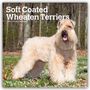"Soft Coated Wheaten Terriers 2027 16-Month Calendar" mit einem weichen, beigehaarigen Hund im Wald.