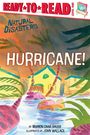 „Natural Disasters: Hurricane!“ in großen Buchstaben. Gebäude von Palmen umgeben, unter Wasser.