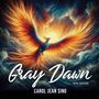 Carol Jean Sing: Gray Dawn, Buch