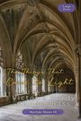 Große Schrift oben: "Large Print". Titel: "The Things That Came to Light". Autor: "Victoria Hardy Childermass". Unten: "Marduke Manor #3". Hintergrund: Gotischer Gang mit Gewölbe und Säulen.
