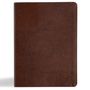 Holman Bible Publishers: KJV Study Bible, Large Print Edition, Brown Bonded Leather, Buch