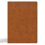 Csb Bibles By Holman: CSB Women's Study Bible, Saddle Brown Genuine Leather, Buch