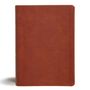 Csb Bibles By Holman: CSB Study Bible, Personal Size, Digital Study Edition, Burnt Sienna Leathertouch, Buch
