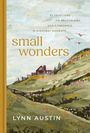 52 Devotions on Recognizing God's Presence in Everyday Moments. Small Wonders, Lynn Austin. Illustration von Landschaft mit Haus.