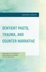 Abhishek Trehan: Sentient Pasts, Trauma, and Counter-Narrative, Buch
