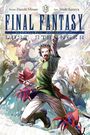 Titel: Final Fantasy - Lost Stranger. Hauptfigur mit grüner Tunika, dynamische Pose, Schwert erhoben, Manga-Stil.