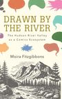 Moira Fitzgibbons: Drawn by the River, Buch