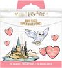 Insights: Harry Potter: Owl Post Super Valentines, Buch