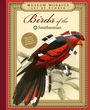 Weldon Owen: Museum Mosaics: Birds of the Smithsonian, Buch