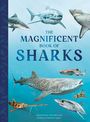 Titel: "The Magnificent Book of Sharks". Mehrere Haie schwimmen im Meer.