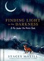 "Finding Light in the Darkness, A Fox Under the Moon Book" zeigt einen Fuchs unter Nordlichtern.