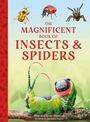 "The Magnificent Book of Insects & Spiders." Illustration von verschiedenen Insekten und einer grünen Raupe auf einem Ast.