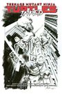 Jason Aaron: Teenage Mutant Ninja Turtles, Vol. 1: Return to New York--Inked Deluxe Edition, Buch