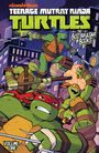 Landry Q Walker: Teenage Mutant Ninja Turtles: The Booyakasha Books, Vol. 1, Buch