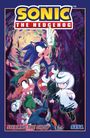 Ian Flynn: Sonic the Hedgehog, Vol. 22: Stealing the Show, Buch