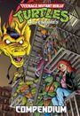 Text: "Teenage Mutant Ninja Turtles Adventures Compendium."  
Comic-Stil, Drachenkopf, Schildkröten und Menschen auf einem Feuerleitertreppenhaus.