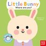 : Baby Faces: Little Bunny, Where Are You?, Buch