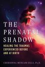 Cherionna Menzam-Sills: The Prenatal Shadow, Buch