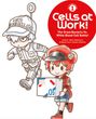 Kumi Makimura: Cells at Work! Picture Book 1: The Great Bacteria vs. White Blood Cell Battle!, Buch