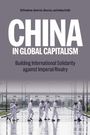 Kevin Lin: China in Global Capitalism, Buch