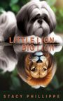 Stacy Phillippe: Little Lion Big Lion, Buch
