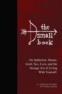 A. J. Daulerio: The Small Book, Buch