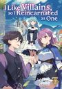 Kei Takano: I Like Villains, so I Reincarnated as One (Light Novel) Vol. 2, Buch