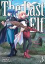 "The Last Elf, vol. 3." Zwei Mädchen, eines mit blauen Haaren und eines mit blonden Haaren, stehen mit einem Besen.