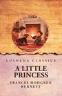 Frances Hodgson Burnett: A Little Princess, Buch