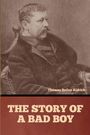 Thomas Bailey Aldrich: The Story of a Bad Boy, Buch