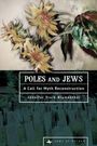 Jennifer Stark-Blumenthal: Poles and Jews, Buch