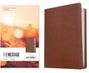 Zitat: „A landmark and a triumph.“ J.I. Packer. Titel: THE MESSAGE. Deluxe GIFT BIBLE. Links: Umschlag, rechts: braune Bibel.