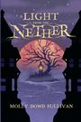 Molly Dowd Sullivan: A Light From the Nether, Buch