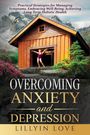 Lillyin Love: Overcoming Anxiety And Depression, Buch