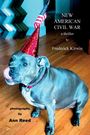 Kirwin: New American Civil War, Buch