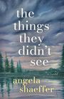 Angela Shaeffer: The Things They Didn't See, Buch