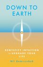 Nil Demircubuk: Down to Earth, Buch